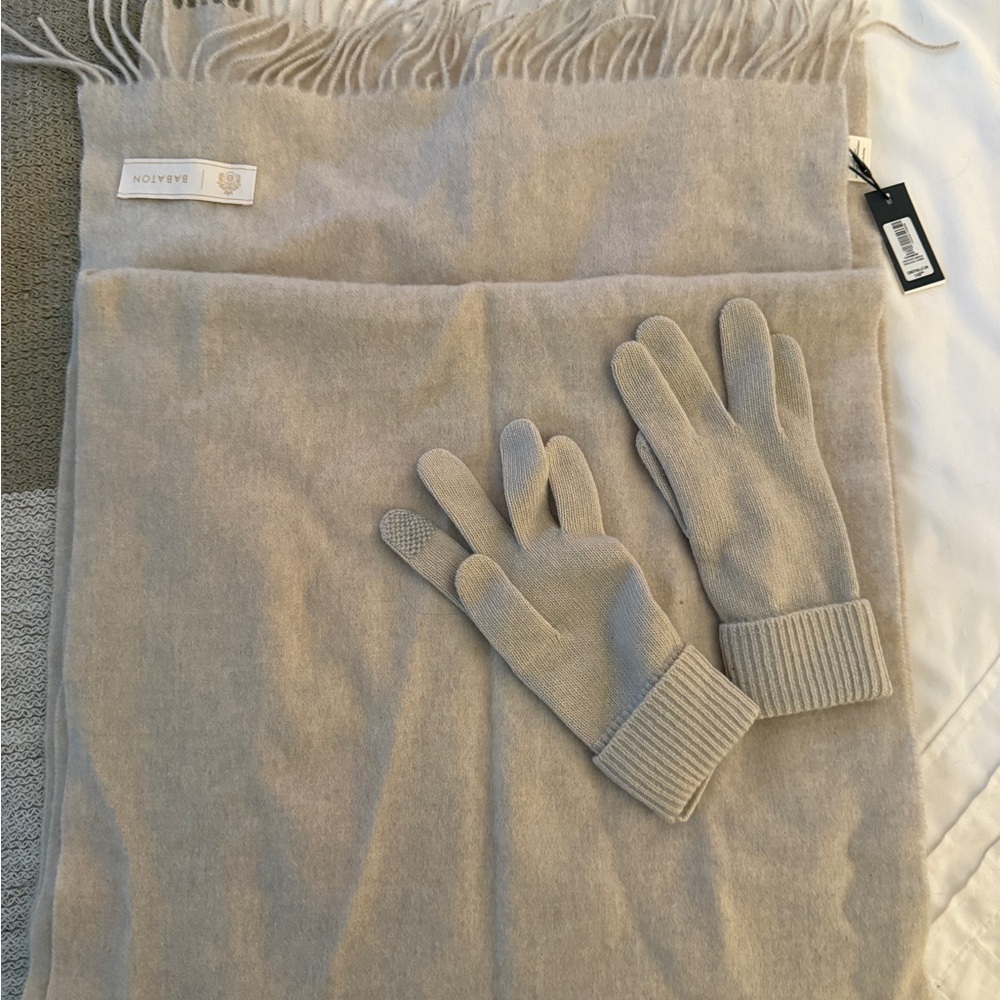 Aritzia Aspen Cashmere Scarf & Gloves